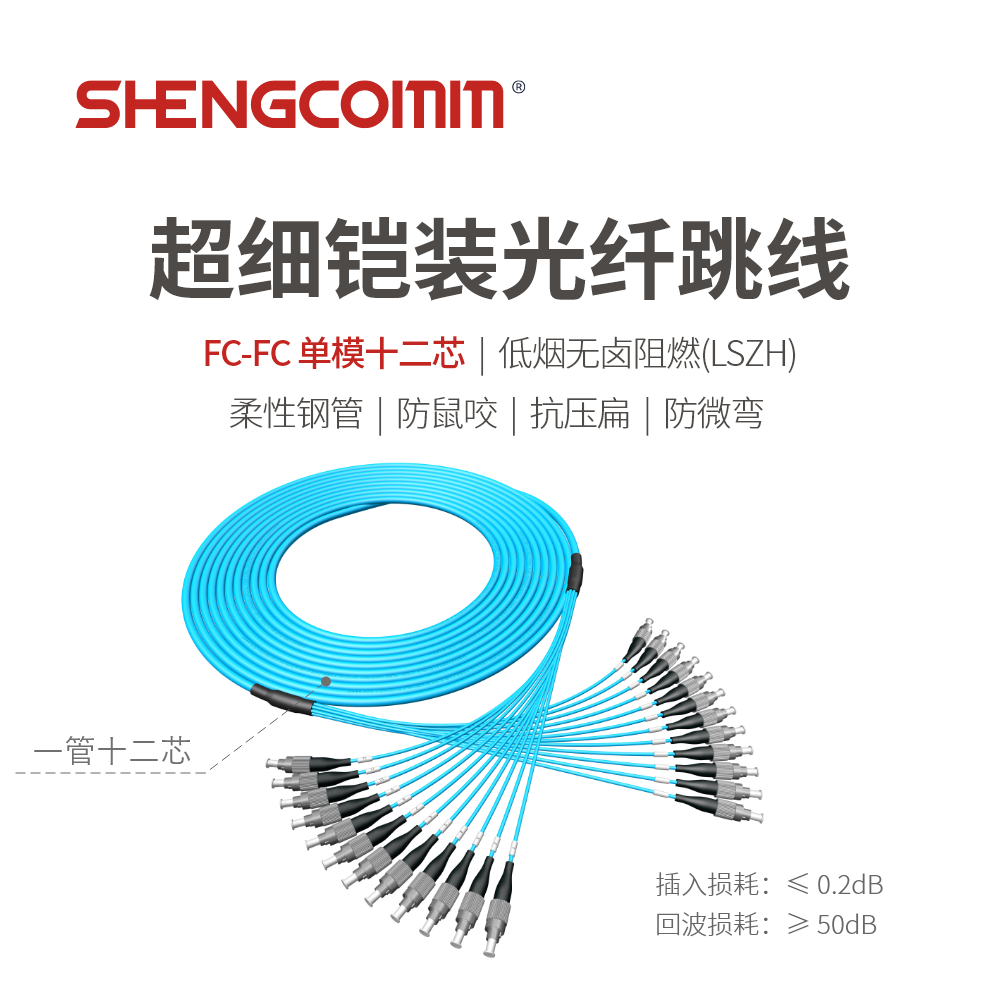 FC/UPC-FC/UPC 单模12芯 超细铠装光纤跳线