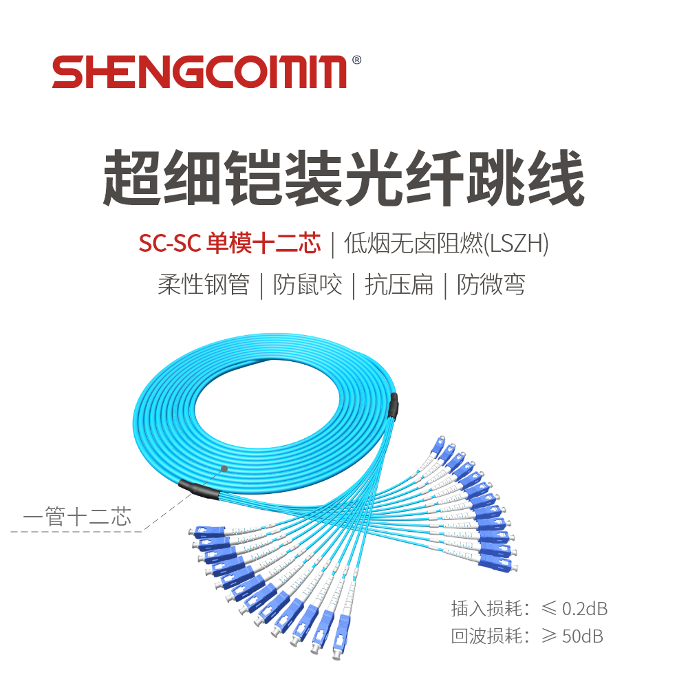 SC/UPC-SC/UPC 单模12芯 超细铠装光纤跳线